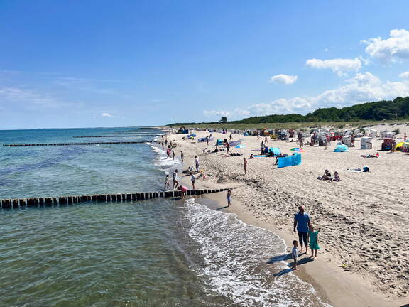 24-06-29 11-36-11 0008